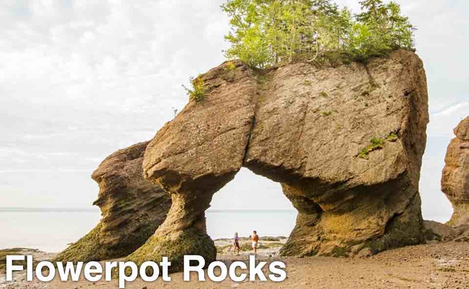 Flowerpot Rocks