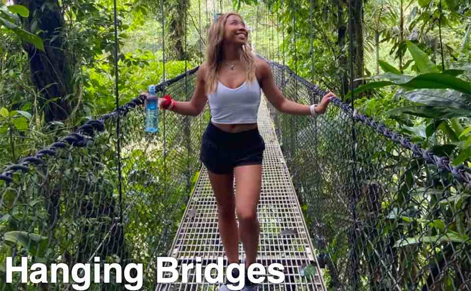 Hanging Bridges