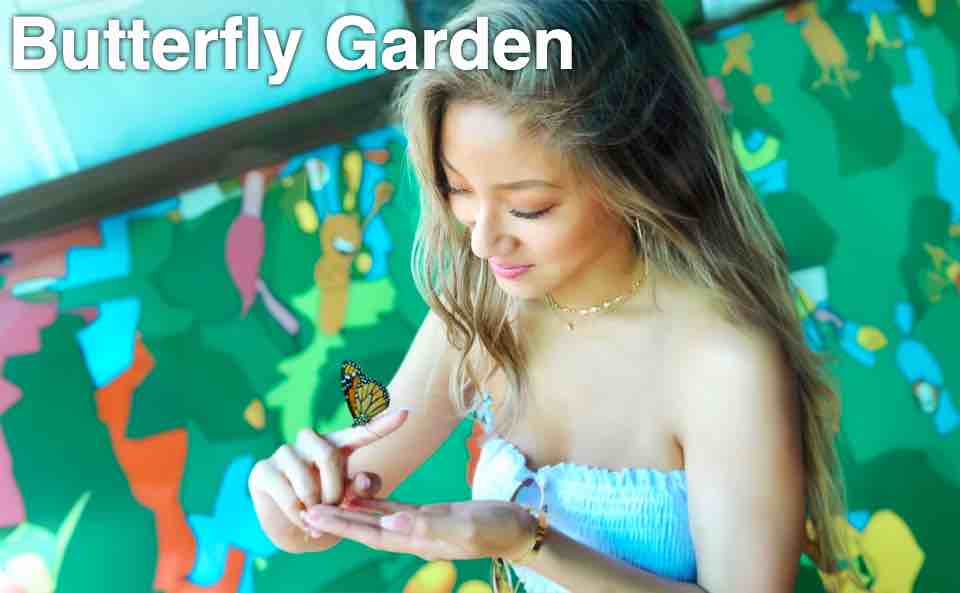 Butterfly Garden