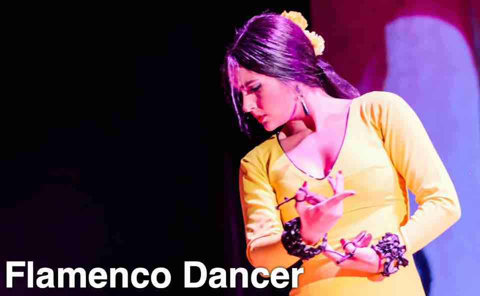 Flamenco Dancer