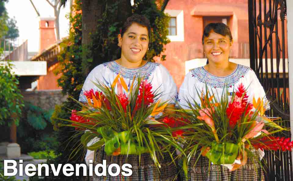 Bienvenidos