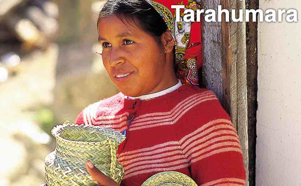 Tarahumara