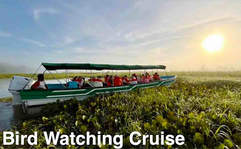 Bird Watching Cruise