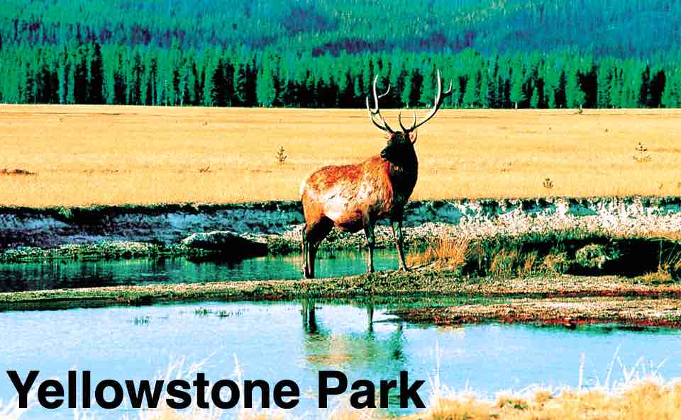 Yellowstone Park